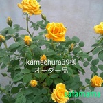 kamechura39様オーダー品