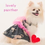 ハーネス リードセット ☆ Lovely パンサー ハーネス・リード（袖フリル、リボン付）タッセル別売り