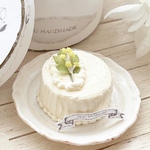 🌼ミモザのホールケーキ🌼BOXとケーキプレート付き