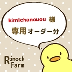 kimichanouou様専用🐥追加分