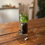 <new> wood cube 壁掛け フラワーベース(一輪挿し) f.2