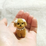 羊毛ミニチュアわんこ(プードル・アプリコット)ドールハウス、ミニチュアコレクションに！羊毛フェルト