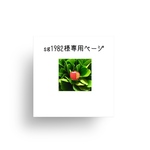 sg1982様専用ページ