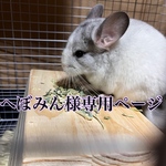 へぼみん様専用ページ