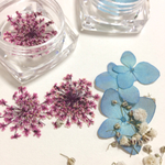 限定1点☆ お花の押し花  ＆ ドライフラワーセット