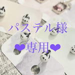 ❤︎パステル様専用❤︎