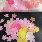 【花三昧】桜、梅、お花　ほんのり透けるペーパーフレーク♡180枚　クラフトパンチ　D/507