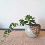 まめ渦花器(剣山付き)   一輪挿し  花瓶  陶器  植木鉢  豆鉢  お香立て  ギフト