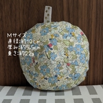 乳がん全摘用パッド Ｍサイズ