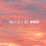 【tn1213】様専用