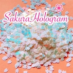 桜の花びらホログラム🌸オーロラホワイト、2g
