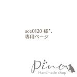 sce0120 様専用ページです*.