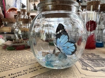 蒼の蝶とクリスタルの呼び声🦋《丸瓶》