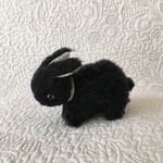 lapin noir  petit