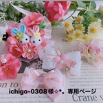 ワンコ用アクセサリー✧︎✧︎5点