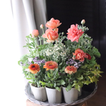 オレンジ色のハッピー花苗セット