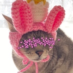 選べるカラー.イースター..4月.ニット帽.猫.被り物.コスプレ.毛糸