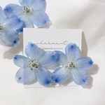 デルフィニウムピアス🌼*･