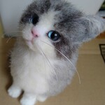 羊毛フェルト猫　猫のモフモフです。