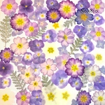 ♡new♡作家様必見♡押し花MIXセット♡押し花セット