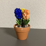 ヒヤシンス花鉢  18
