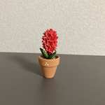 ヒヤシンス  ちびっこ花鉢　9
