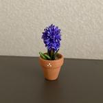 ヒヤシンス  ちびっこ花鉢　19