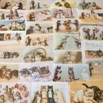 (再販×2)🐈アンティークキャットのペーパーセット＊コラージュ素材＊コラージュペーパー＊ジャンクジャーナル