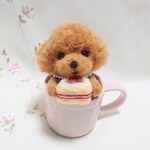 ティーカッププードル🐩　ケーキはいかが🍰🍰