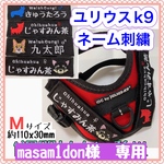 masam1don様　専用