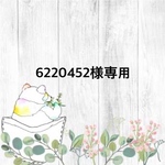 6220452様専用