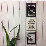 男前ワイヤーメッシュフレーム