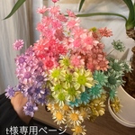 t様 専用ページ