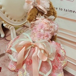 犬猫うさちゃん服　数量限定！お花見🌸春ワンピース 