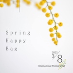 Spring Happy Bag🌼