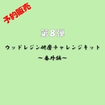 ☆予約販売☆【第8弾ウッドレジン研磨チャレンジキット～番外編～】