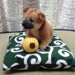 羊毛フェルト 柴犬