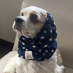 再販③伸びるニット素材星柄★ネイビー　犬用スヌード　中型犬用スヌード
