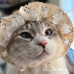 全部レースのボンネット