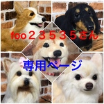 大きいうちの子オーダー
