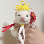 【　🎎ひなまつりSET🎎（All）　】