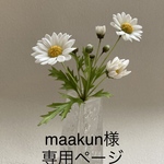 クレイフラワー　マーガレット