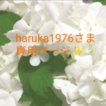haruka1976さま専用ページ✨