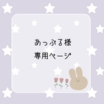 *水引イヤリング 専用ページ*【オーダー2点/No.292】