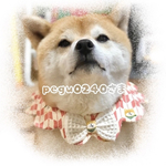 ♥pegu0240さま♥