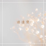 速達便
