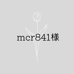 mcr841様専用ページ