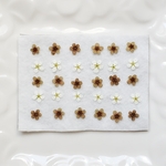 ☆押し花☆　コデマリ　茶色・白　ブラウン　小花　レジン　花材　素材