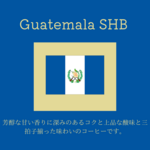 送料無料で届く新鮮な自家焙煎コーヒー豆｜ガテマラSHB 300g（150g×2袋）｜深煎り