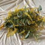 【送料無料】ドライフラワー　ミモザのスワッグ